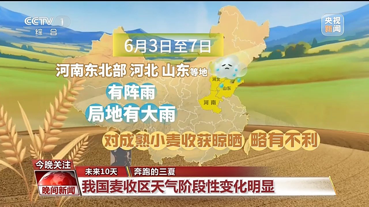 视频丨提高麦收效率 他们给田地装上“数字大脑”
